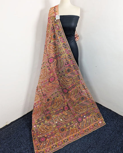 Premium Multicolor Embroidered Organza with Sitara Work Dupatta