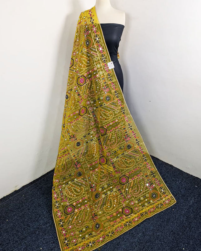 Premium Multicolor Embroidered Organza with Sitara Work Dupatta