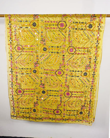 Premium Multicolor Embroidered Organza with Sitara Work Dupatta