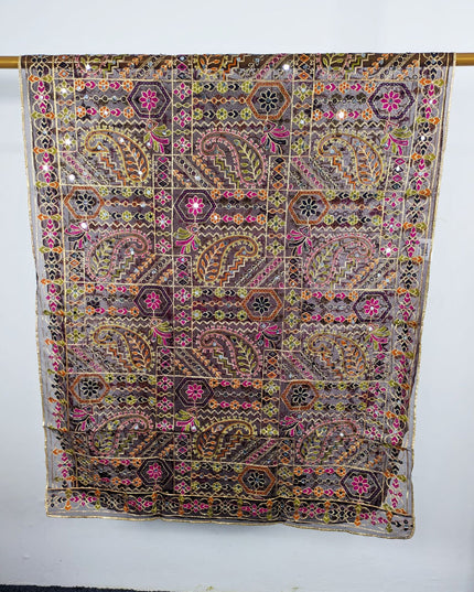 Premium Multicolor Embroidered Organza with Sitara Work Dupatta
