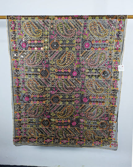 Premium Multicolor Embroidered Organza with Sitara Work Dupatta
