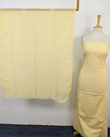 Lawn with Shadow + Chikankari Work Shirt & Chiffon Dupatta 3Pc Unstitched