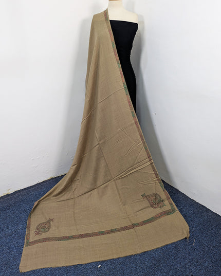 Wool Pashmina with Handmade Kashmiri Sui 4 Side Border Work Shawl