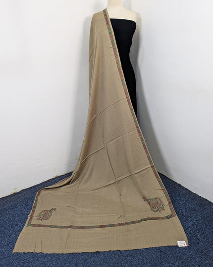 Wool Pashmina with Handmade Kashmiri Sui 4 Side Border Work Shawl