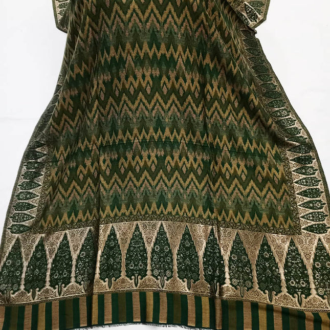 Premium Pashmina Ikkat Shawl with Kani Zari Border Work